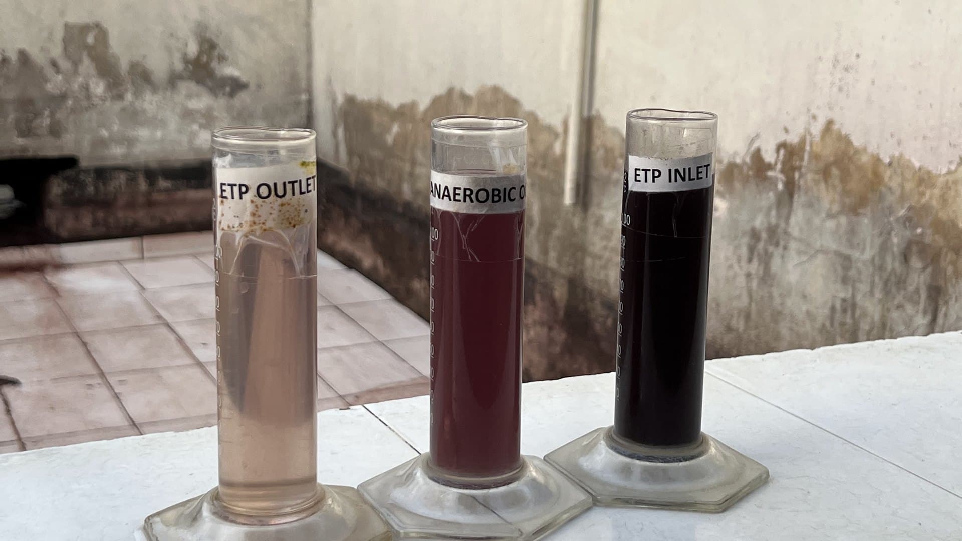 Graduated cylinders of ETP inlet, anaerobic-stage and final outlet samples side by side, showing the colour change through each biological stage