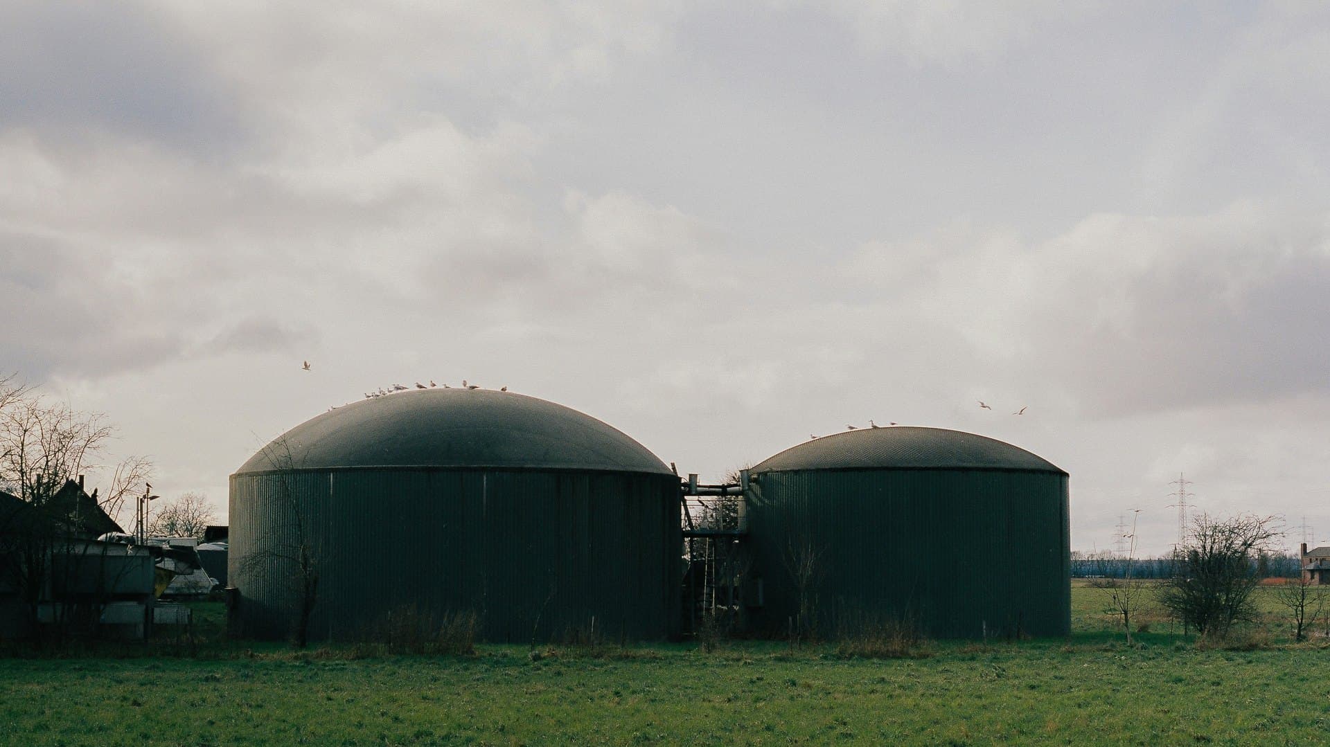 Twin anaerobic digester domes on a rural site, where industrial sludge is converted to biogas
