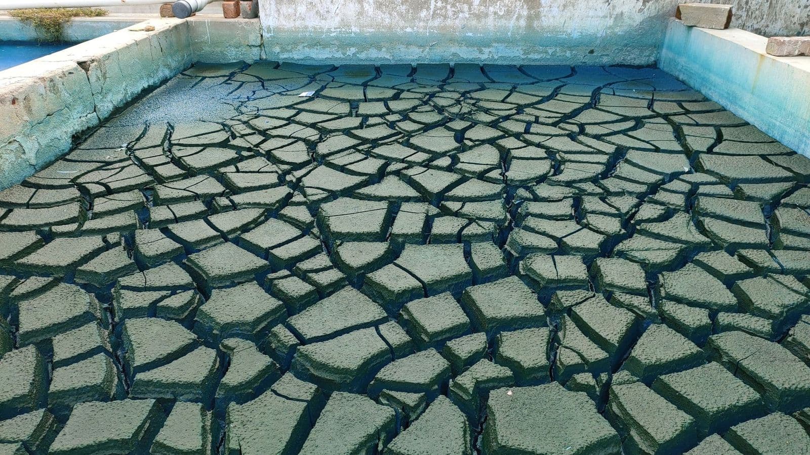 Solar evaporation pond at a zero liquid discharge site, its residue cracked into a dry salt-crust mosaic