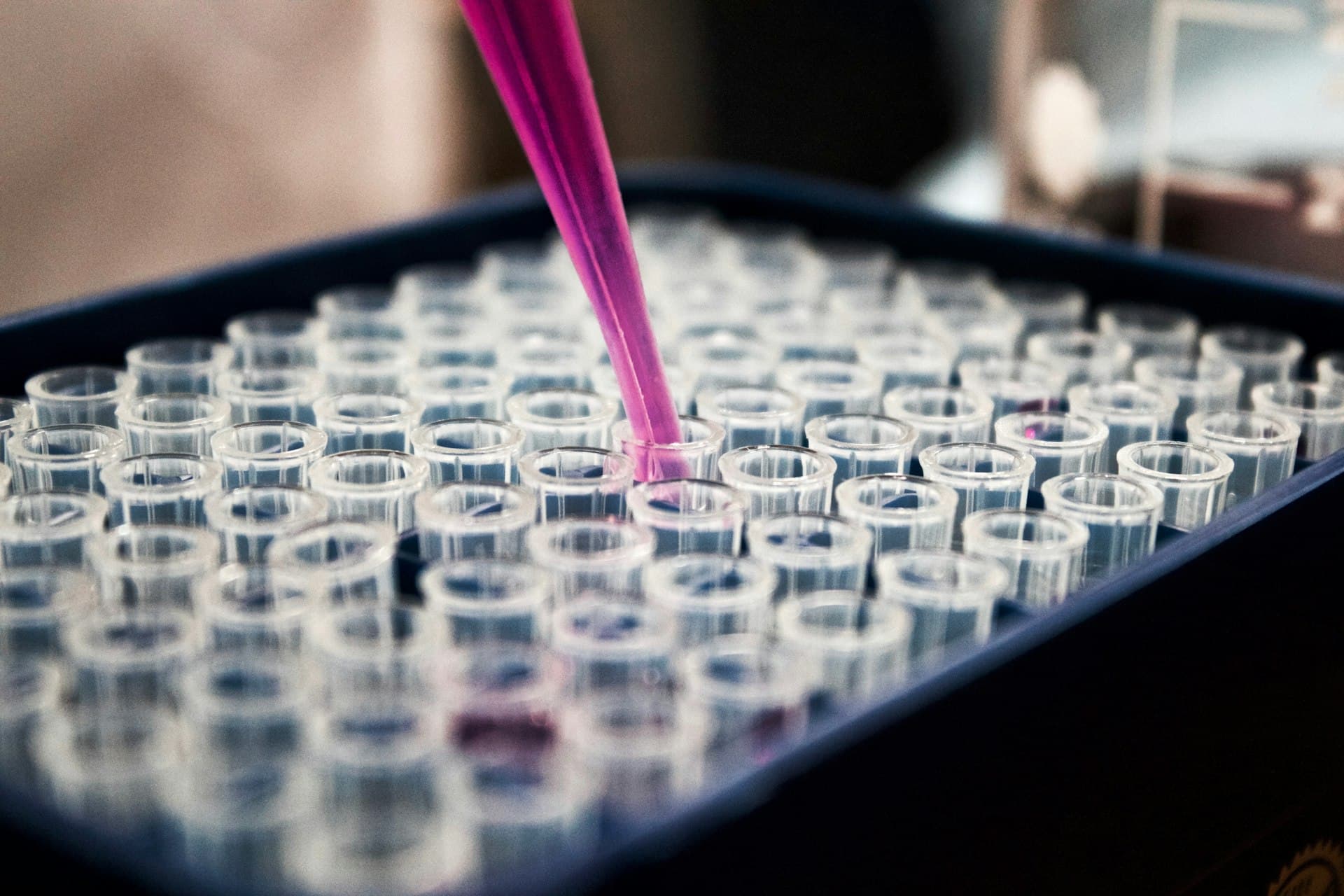 Pipette dosing samples across a microplate in a membrane research laboratory