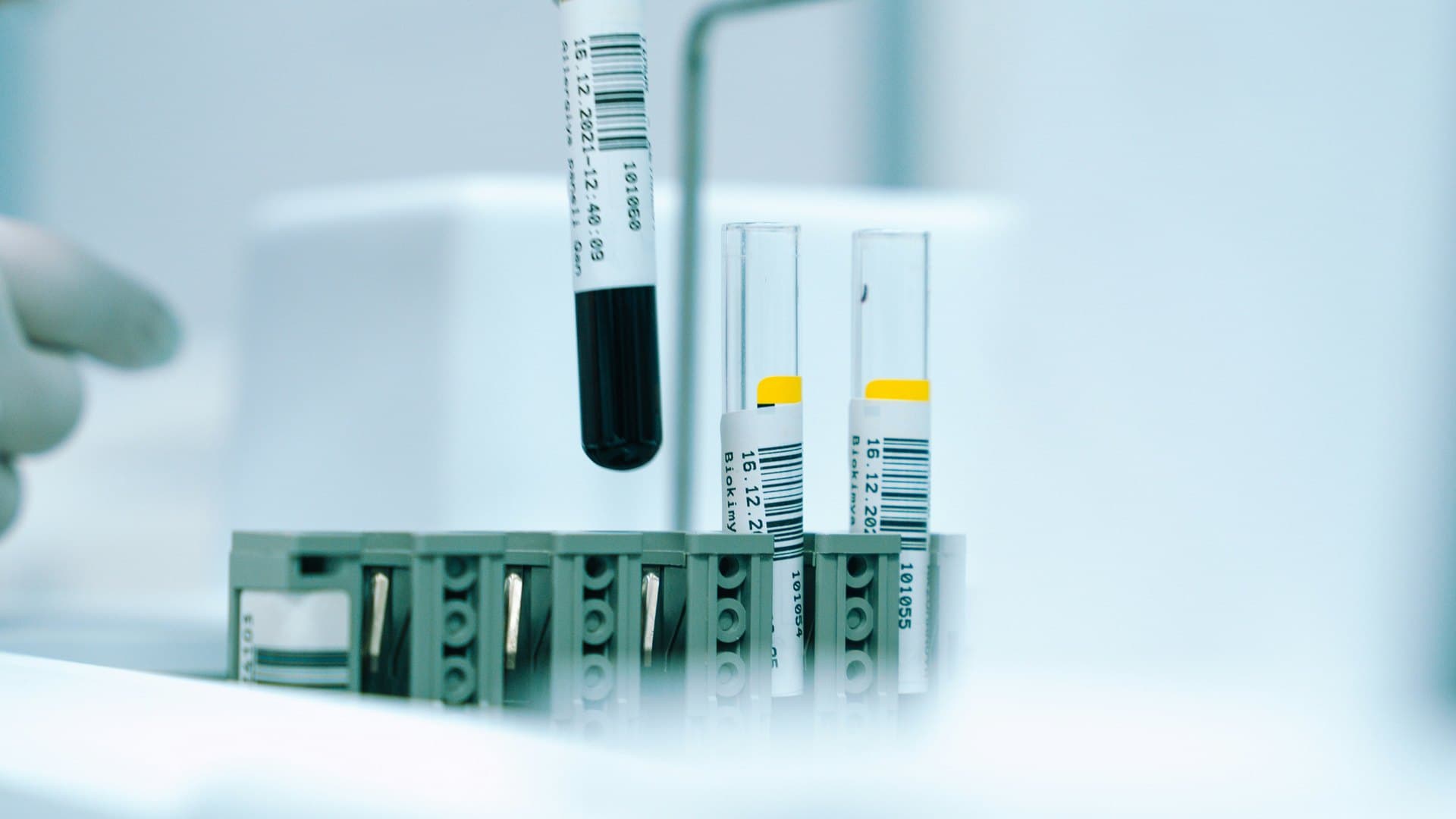 Sterile vials and purified water containers under cold laboratory light — the end use of USP-grade high-purity water