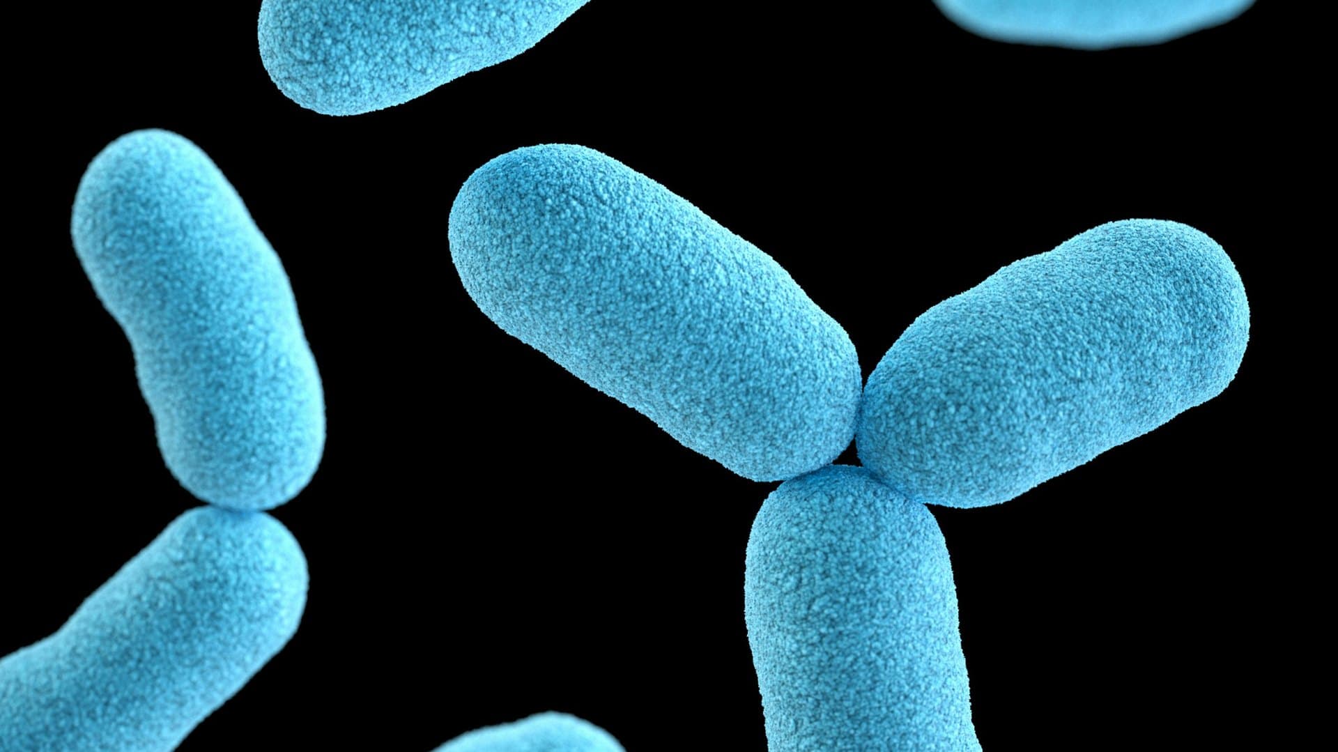 Digitally colourised micrograph of rod-shaped bacteria — the waterborne hazard cooling-tower programmes are designed to suppress