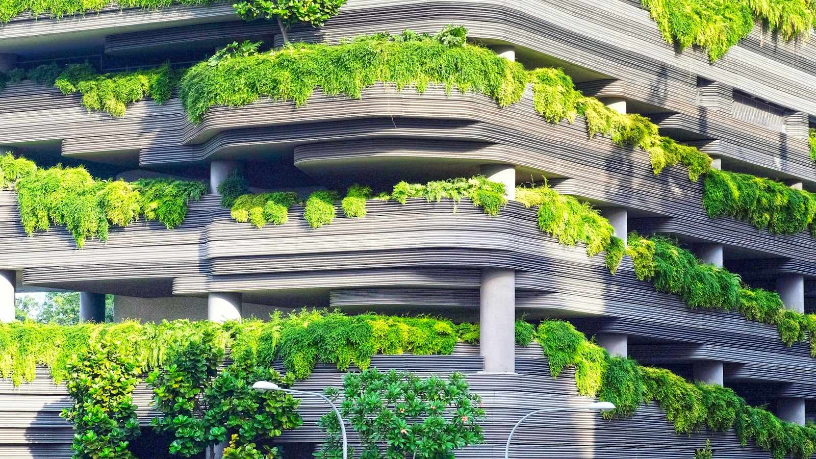 Green terraces planted across a building facade — vegetated infrastructure that slows and treats stormwater