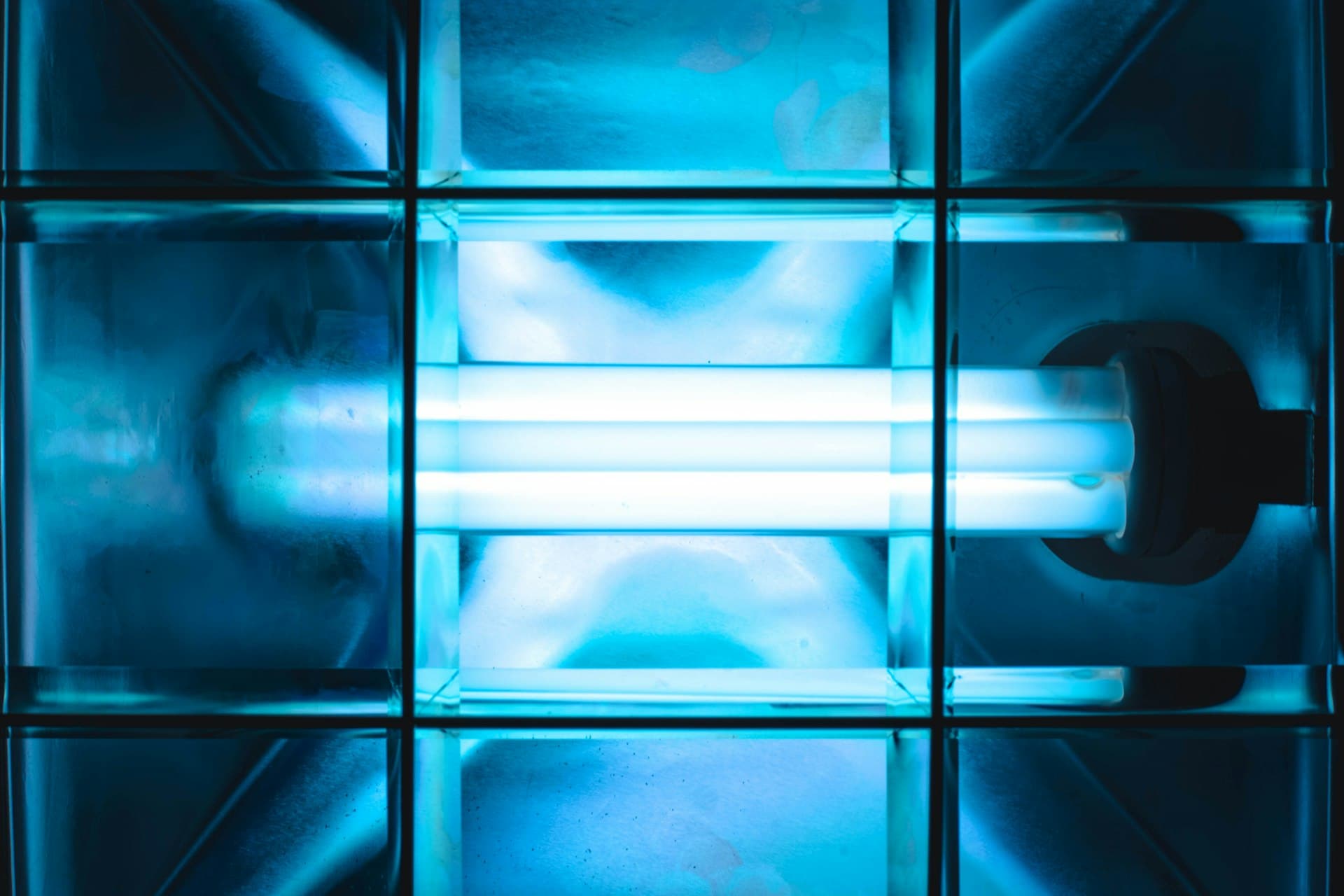 Ultraviolet germicidal lamps glowing blue inside a disinfection unit
