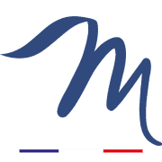 Mistral Constructeur logo